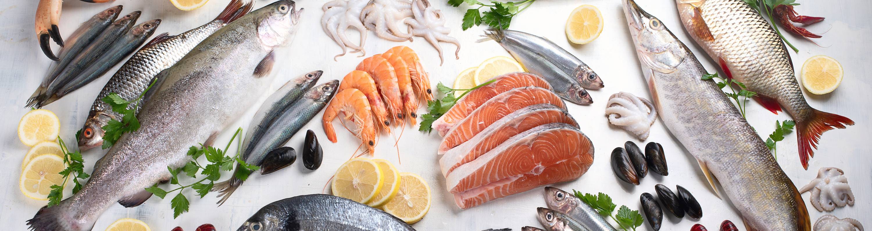 Pesce Pesce